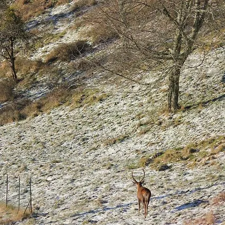 Maison Du Coue Pyrenees Mourtis Gite Jusqu'A 12 Pers Дом отдыха *