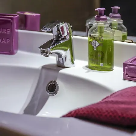 Maison Du Coue Pyrenees Mourtis Pour 2 A 12 Pers *