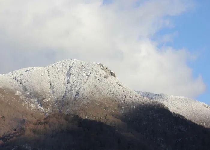 Prázdninový dům Maison Du Coue Pyrenees Mourtis Jusqu'a 12 Pers Sengouagnet
