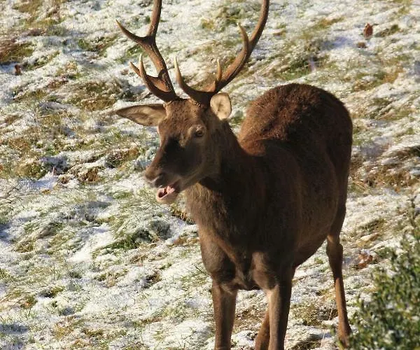 Prázdninový dům Maison Du Coue Pyrenees Mourtis Jusqu'a 12 Pers Sengouagnet