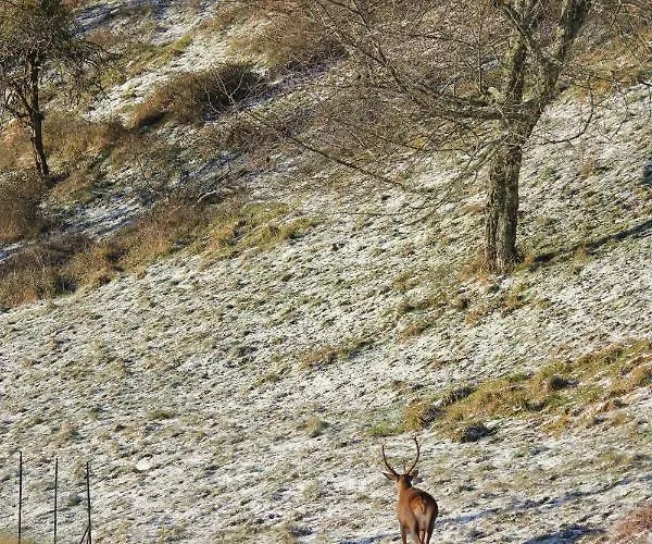Maison Du Coue Pyrenees Mourtis Jusqu'a 12 Pers Prázdninový dům *