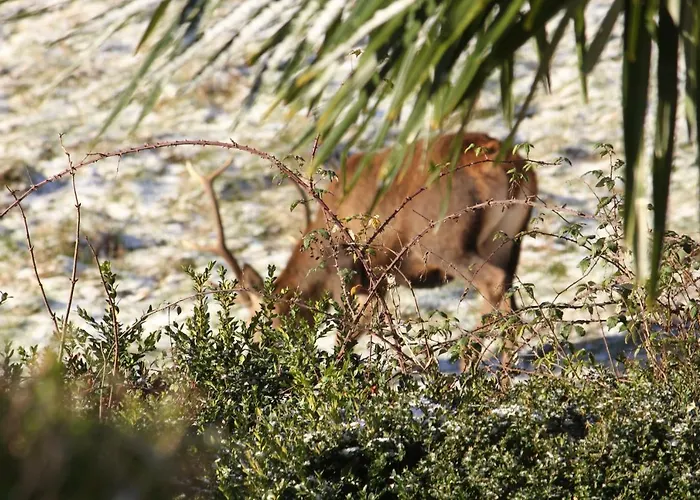 Maison Du Coue Pyrenees Mourtis Jusqu'a 12 Pers Prázdninový dům Sengouagnet